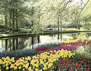 Keukenhof Gardens, Lissa, Netherlands Photograph by Artist - Unknown