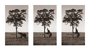 Kichwa Tembo, Masai Mara Mixed Media by Erin Clark