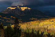 Kiss Of Sunlight Photograph by John De Bord