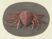 Krab Painting by Jan Augustin Van Der Goes Krab Painting by Jan Augustin Van Der Goes