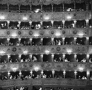 La Fenice Photograph by Erich Auerbach