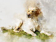 Labrador Retriever Dog Watercolor Portrait 03 Painting by SP JE Art