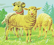 Lambs Drawing by CSA Images Lambs Drawing by CSA Images