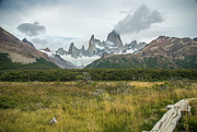 Landscape Of Monte Fitz Roy (fitz Roy) Photograph by Max Seigal