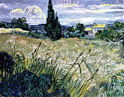 Landscape With Green Corn By Van Gogh Painting by Vincent Van Gogh