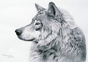 Lanus Lupis Painting by Rusty Frentner