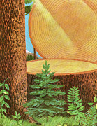 Large Tree Being Cut Down Drawing by CSA Images Large Tree Being Cut Down Drawing by CSA Images