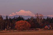 Last Light Photograph by Briand Sanderson