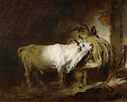 Le toreau blanc a l'etable-the white bull in the stable. Canvas, 72,5 x 91 cm R. F. 1076-10. Painting by Jean-Honore Fragonard -1732-1806-
