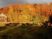 Leaf Peeper Season in Vermont Photograph by Linda Stern