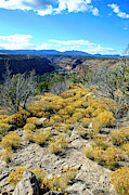 Lemony Canyon Photograph by Becqi Sherman Lemony Canyon Photograph by Becqi Sherman