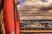 Lifesaver in Edmonds Beach Photograph by Anamar Pictures Lifesaver in Edmonds Beach Photograph by Anamar Pictures