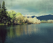Light on the Lake Photograph by Lupen Grainne