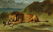 Lion Devouring A Goat, C.1850 Painting by Delacroix