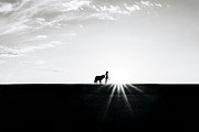 Little Girl Watches Sunset With Saint Bernard Dog Overlooking Missouri River In Bismarck North Dakota Photograph by Cavan Images