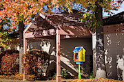 Little Library 2 Photograph by Mark Mille