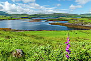 Loch Dunvegan, Isle of Skye Photograph by David Ross