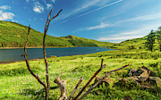 Loch Eynort, Isle of Skye Photograph by David Ross