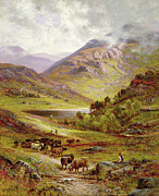 Longhorn Cattle In A Mountainous Landscape, 1892 Painting by Alfred Glendening Jr