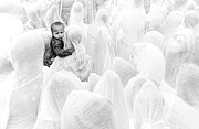 Look Back Photograph by Robin Lee