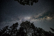 Looking Up at the Milky Way Photograph by Scene by Dewey
