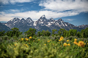 Low Angle Landscape Of Tetons Photograph by Max Seigal Photography