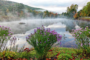 Ludow VT Flowers Misty Morning Fall Foliage Photograph by Toby McGuire