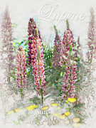 Lupine Graphic Digital Art by Mark Mille Lupine Graphic Digital Art by Mark Mille