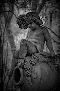 Magnolia Garden Statue Photograph by Jon Glaser