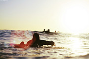 Man On Surfer Paddle Photograph by Photography By Jack De La Mare. 2012