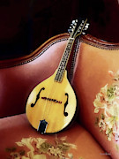 Mandolin on Couch Photograph by Susan Savad Mandolin on Couch Photograph by Susan Savad