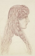 Maria Zambaco Profile Study Drawing by Sir Edward Coley Burne-jones Maria Zambaco Profile Study Drawing by Sir Edward Coley Burne-jones