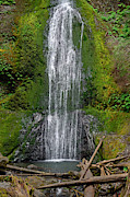 Marymere Falls Olympic National Park Photograph by Bruce Gourley