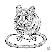 Meadow Jumping Mouse Drawing by Amy E Fraser Meadow Jumping Mouse Drawing by Amy E Fraser