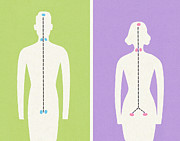 Medical Illustration of Man and Woman Drawing by CSA Images Medical Illustration of Man and Woman Drawing by CSA Images