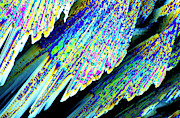 Melting Ice Crystals Photograph by Science Photo Library