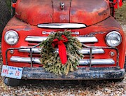 Merry Christmas Texas Photograph by Gia Marie Houck