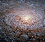Messier 63 Sunflower Galaxy Photograph by Science Photo Library