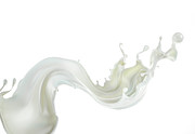 Milk Wave In The Air Photograph by Science Photo Library