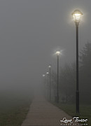 Misty Morning Path Photograph by Laura Terriere