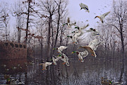 Monday Morning Mallards Painting by Glenn Pollard
