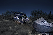 Moonlit find Photograph by Darrell Foster