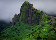 Mo'orea, French Polynesia Photograph by Tyler Rooke