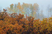 Morning Autumn Fog Photograph by John De Bord Morning Autumn Fog Photograph by John De Bord