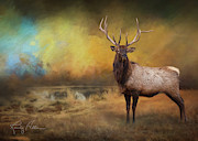 Morning Bugler Photograph by Randall Allen