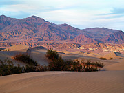 Morning on the Inyos Photograph by Joe Schofield