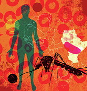 Mosquito And Malaria In East Africa Photograph by Ikon Images