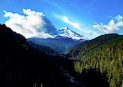 Mount Baker in the summer snow capped Photograph by Steve Bunch