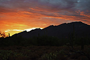 Mount Kimball Sunset Glow, Tucson, AZ Photograph by Chance Kafka