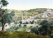 Mount Olives Jerusalem Photograph by Munir Alawi Mount Olives Jerusalem Photograph by Munir Alawi